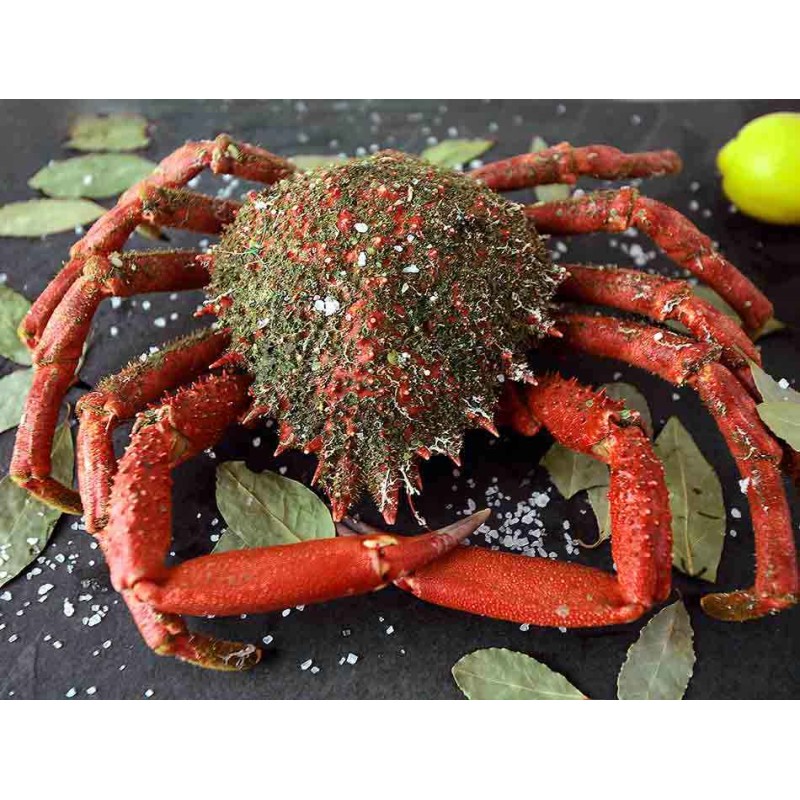 centolla gallega