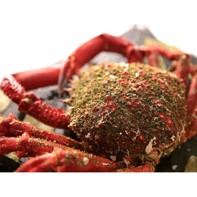 centolla gallega