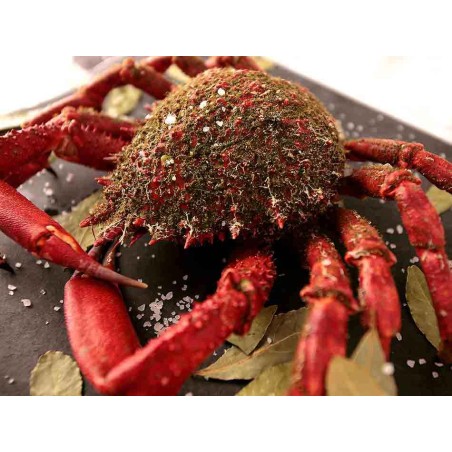 centolla gallega