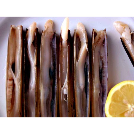 navajas gallegas