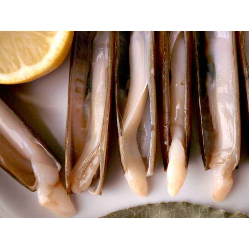 navajas gallegas