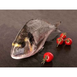 Dorada Salvaje Gallega