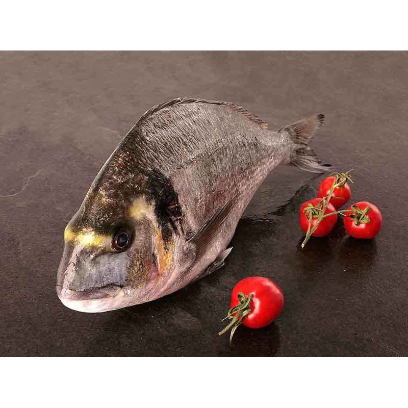 Dorada Salvaje Gallega