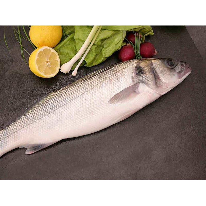 lubina salvaje gallega