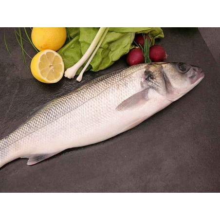 lubina salvaje gallega