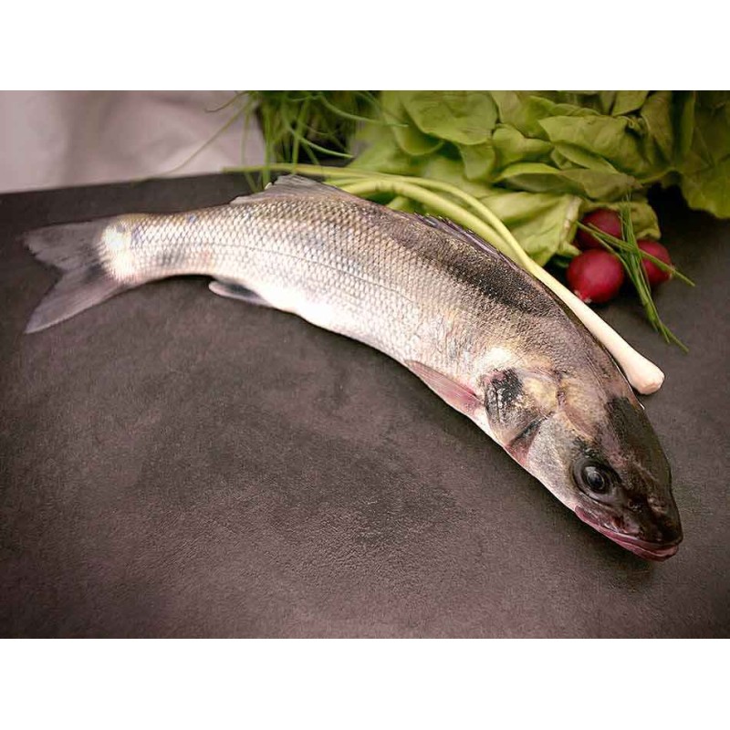 lubina salvaje gallega