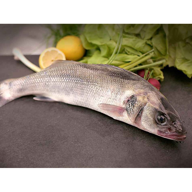 lubina salvaje gallega
