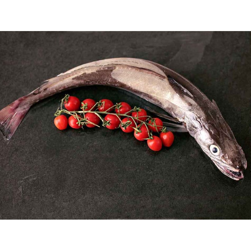 merluza pincho gallega