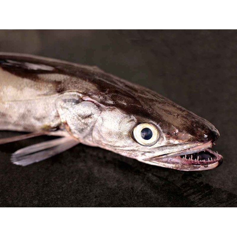 merluza pincho gallega
