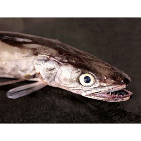 merluza pincho gallega