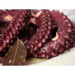 pulpo gallego