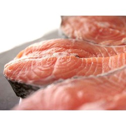 Salmon fresco