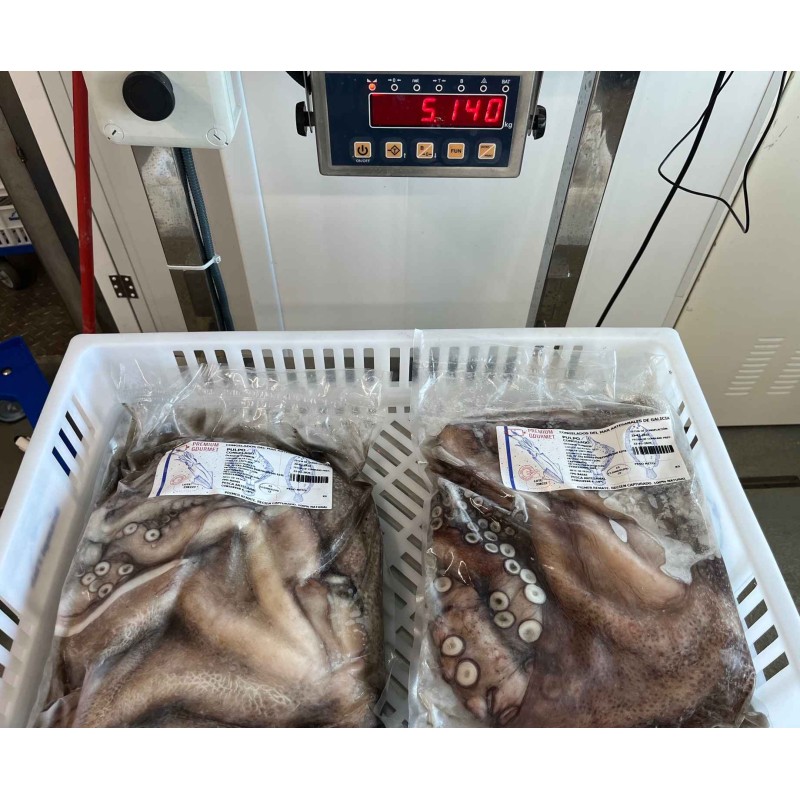 pulpo gallego