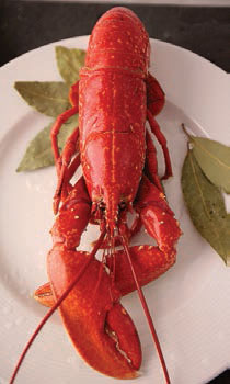 Comprar mariscadas online