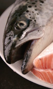 Comprar pescado online