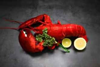 ¿Cómo cocer un bogavante?
