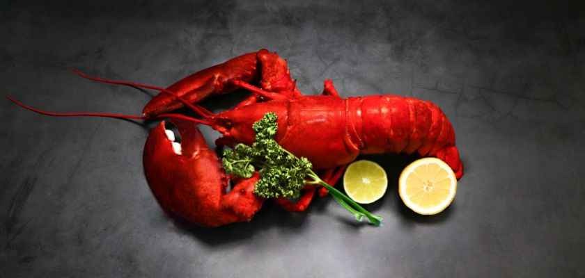 ¿Cómo cocer un bogavante?