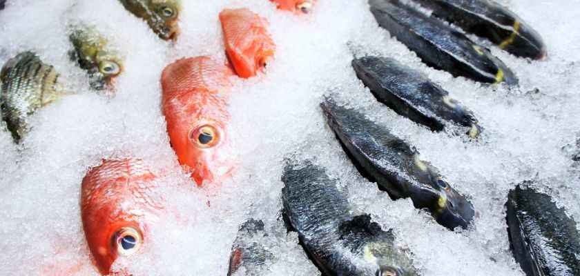 EL ESTADO DE ALARMA DISPARA LA VENTA ONLINE DE PESCADO