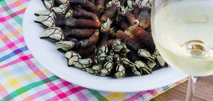 ¿Se pueden congelar los percebes?