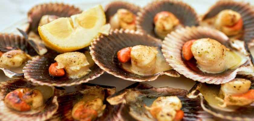 Vieiras a la Gallega