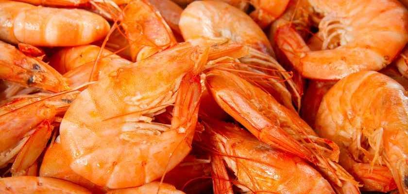 CÓMO COCER GAMBAS DE HUELVA