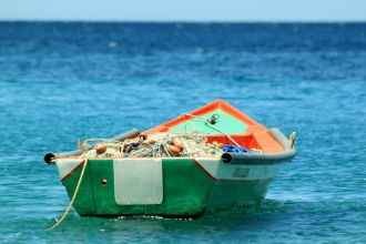 ¿Que es una lonja de pescado y marisco?