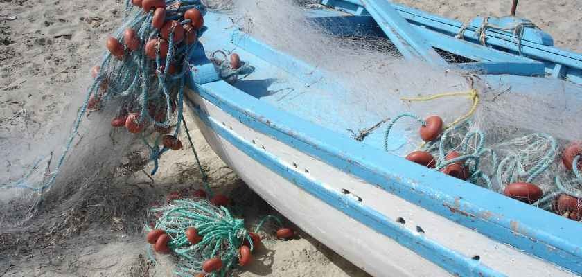 ¿Que es una lonja de pescado y marisco?