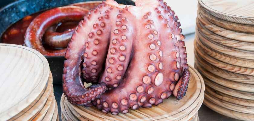 Cómo diferenciar el pulpo gallego del marroquí