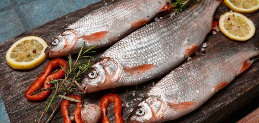 ¿Pescado de piscifactoría o salvaje?