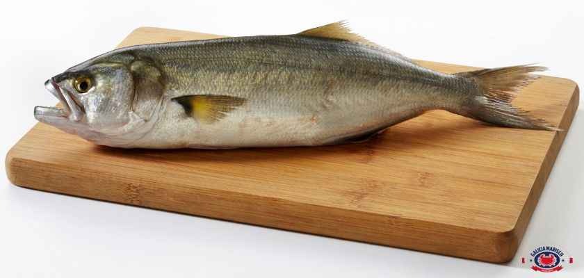 Cuáles son los pescados azules