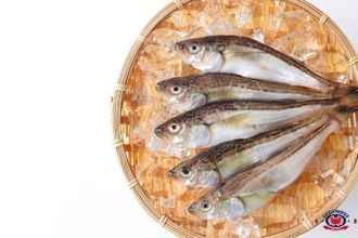 ¿Cuáles son los pescados blancos?