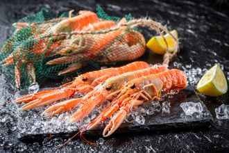 Descubre cómo limpiar y cocer cigalas y diferentes recetas con ellas