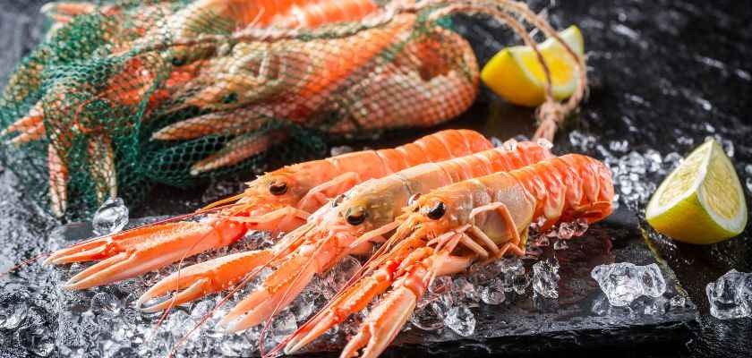 Descubre cómo limpiar y cocer cigalas y diferentes recetas con ellas