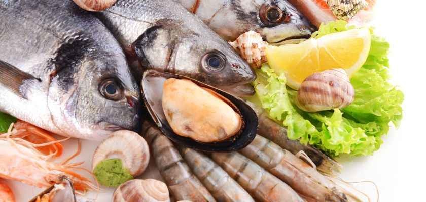 Conoce el pescado con más omega 3