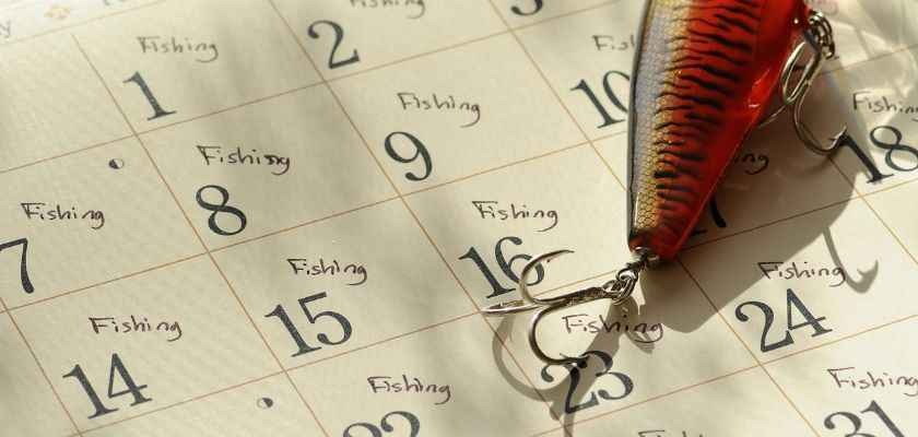 CALENDARIO DE PESCADO DE TEMPORADA