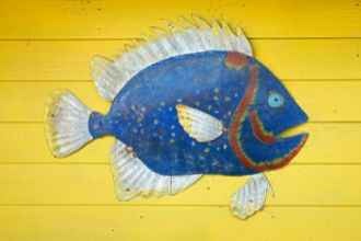La importancia de incluir el pescado azul en tu dieta