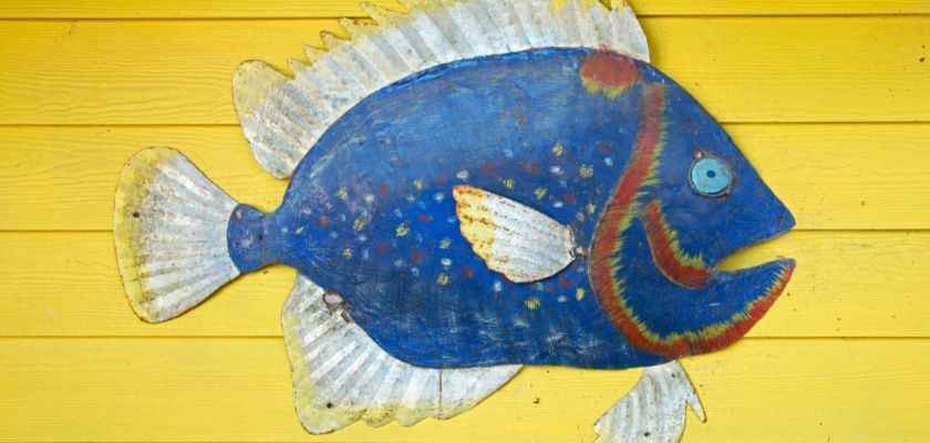 La importancia de incluir el pescado azul en tu dieta