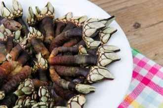 COMO COCER PERCEBES