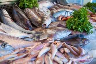 ¿Como Conservar El Marisco Y El Pescado Fresco En Casa?