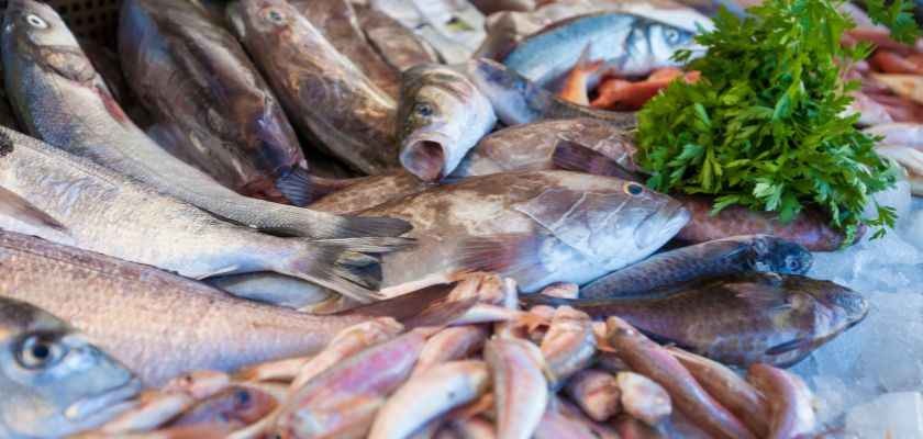 ¿Como Conservar El Marisco Y El Pescado Fresco En Casa?