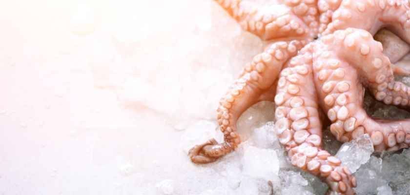 CÓMO LIMPIAR PULPO
