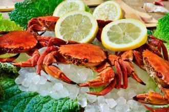 ¿COMO COCER NECORAS?