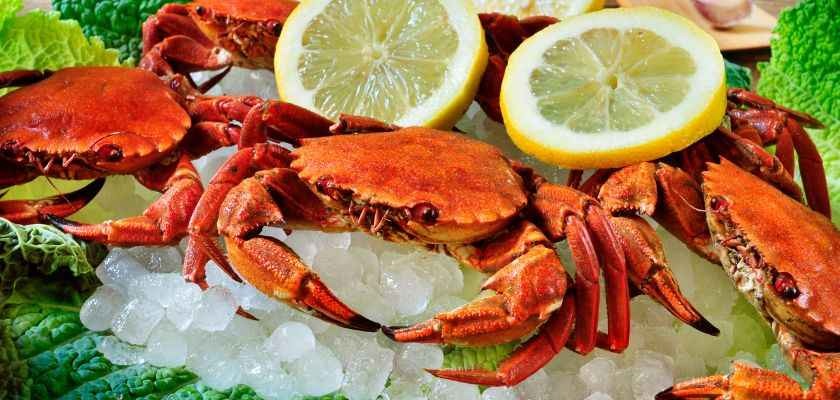 ¿COMO COCER NECORAS?