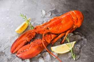 LANGOSTA O BOGAVANTE