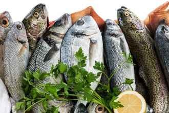 Guía Con Diferentes Tipos De Pescado