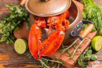 Cómo cocinar recetas de langosta
