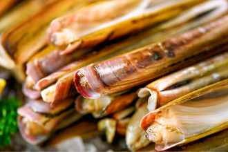 Navajas al horno