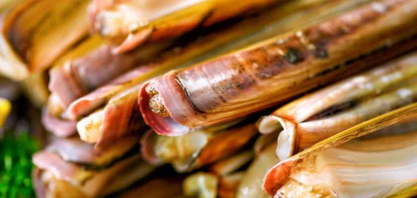 Navajas al horno